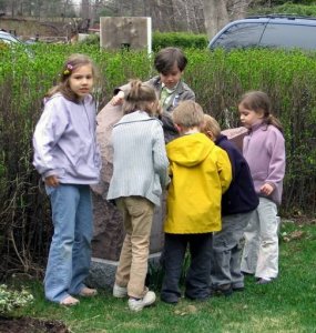 image 01-jpg