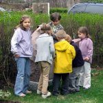image 01-jpg